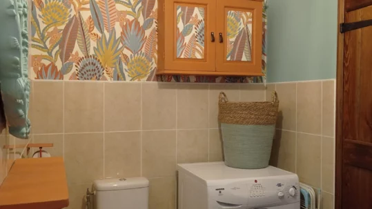 Salle d'eau et lave-linge